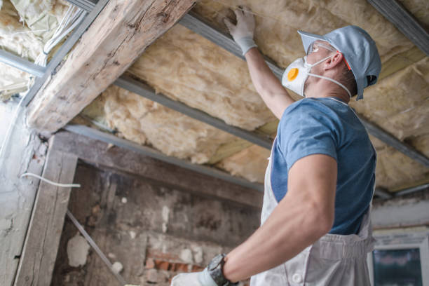 Best Eco-Friendly Insulation in Winchester, VA